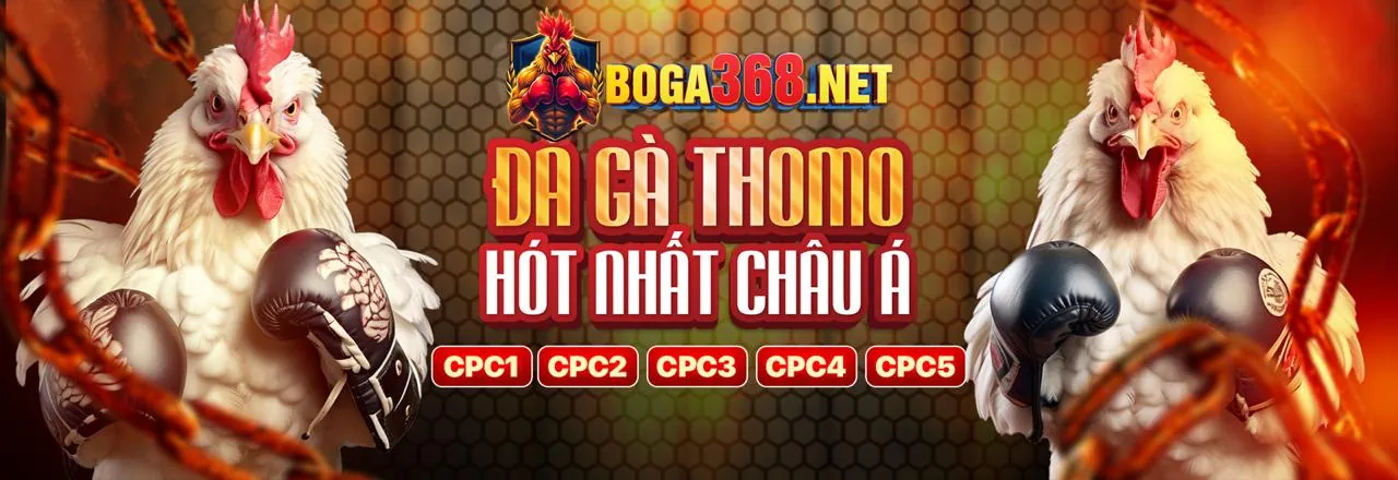 Đá gà kịch tính tại awin68 nhà cái